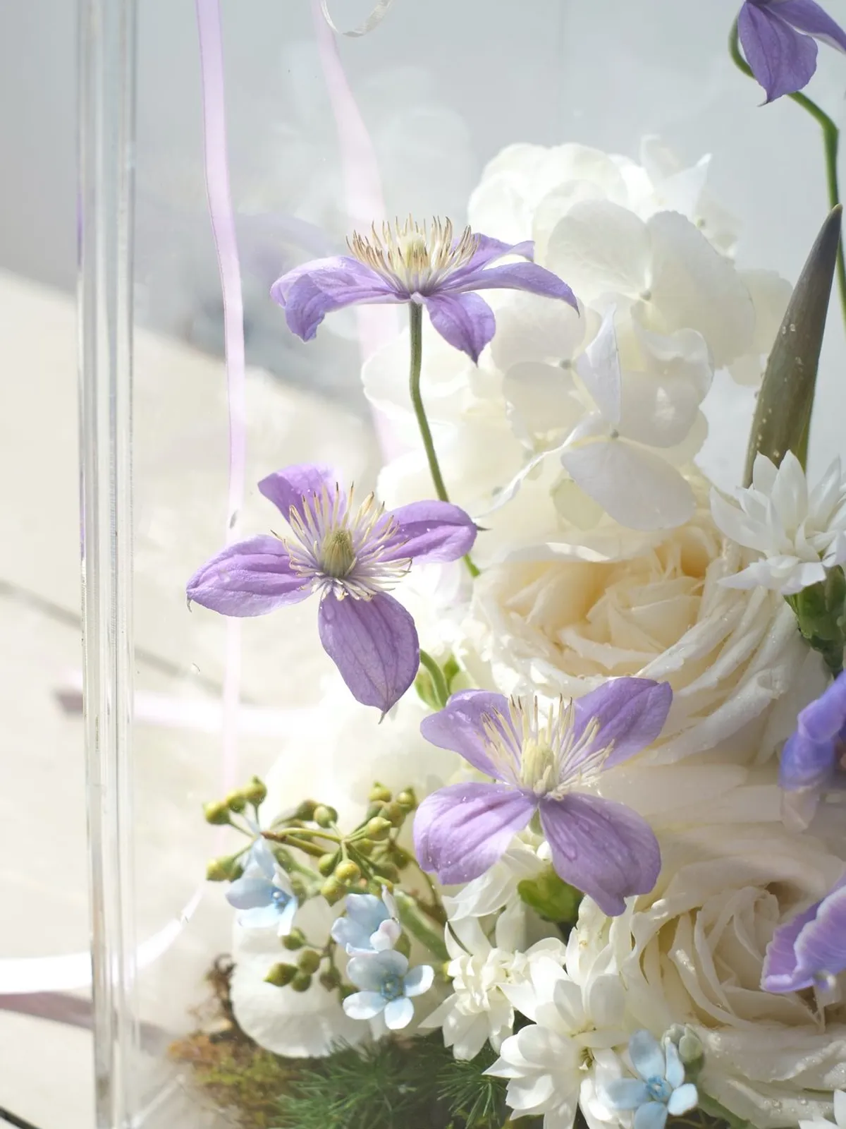 Dịu Dàng Sắc Tím Thanh Khiết — Tulip Hà Lan, Hồng Đà Lạt, Clematis (ảnh 3)