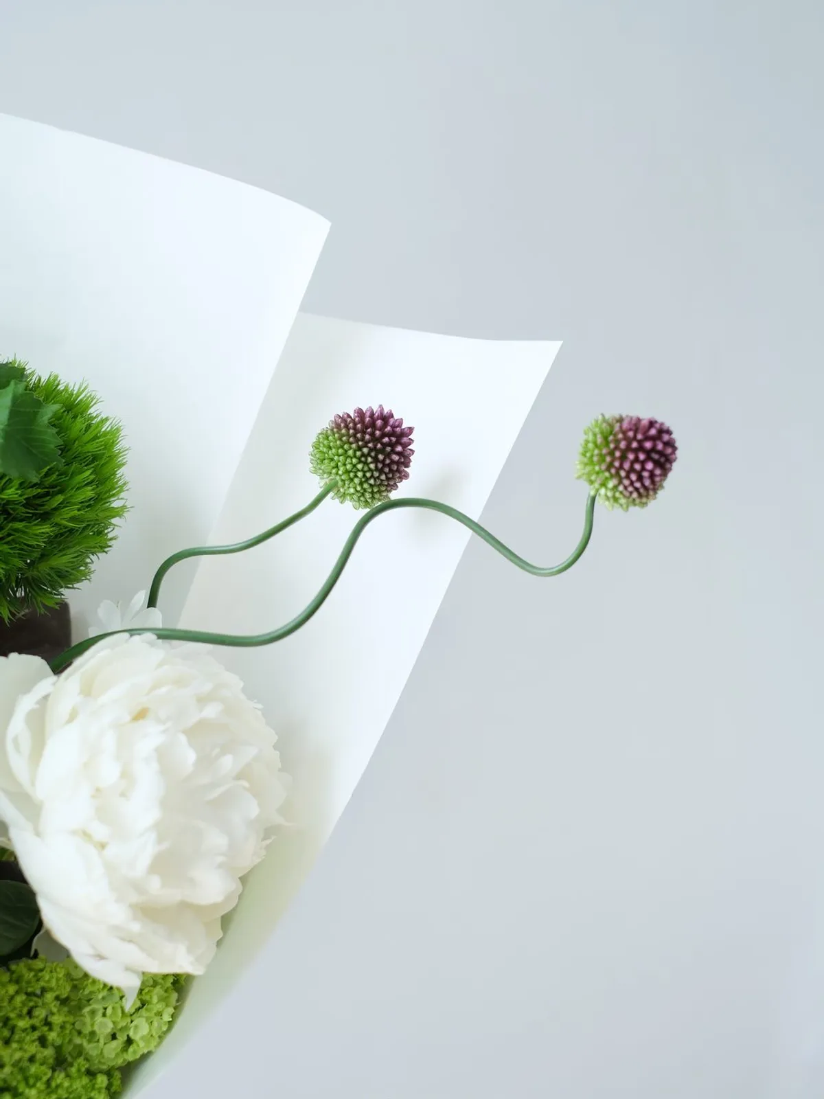 Bản Giao Hưởng Tươi Mới — Mẫu Đơn Hà Lan, Green Wicky, Tiểu Tú Cầu (ảnh chi tiết 2)