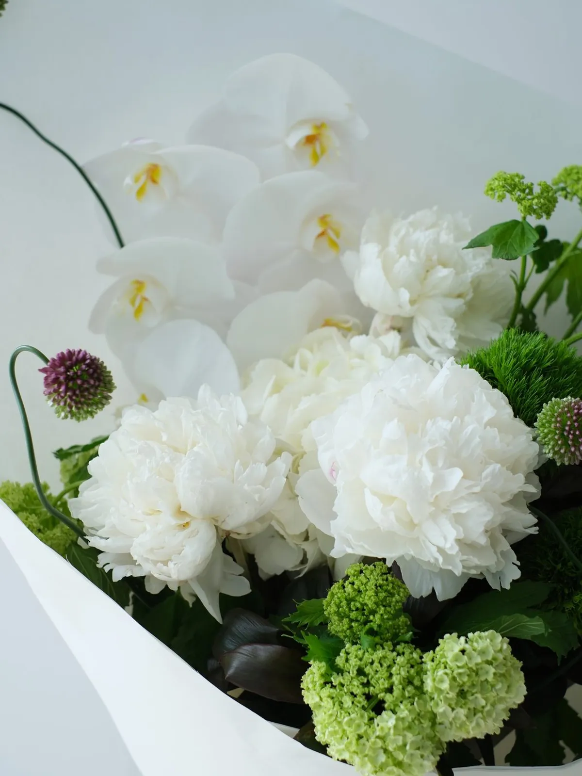 Bản Giao Hưởng Tươi Mới — Mẫu Đơn Hà Lan, Green Wicky, Tiểu Tú Cầu (ảnh chi tiết 3)