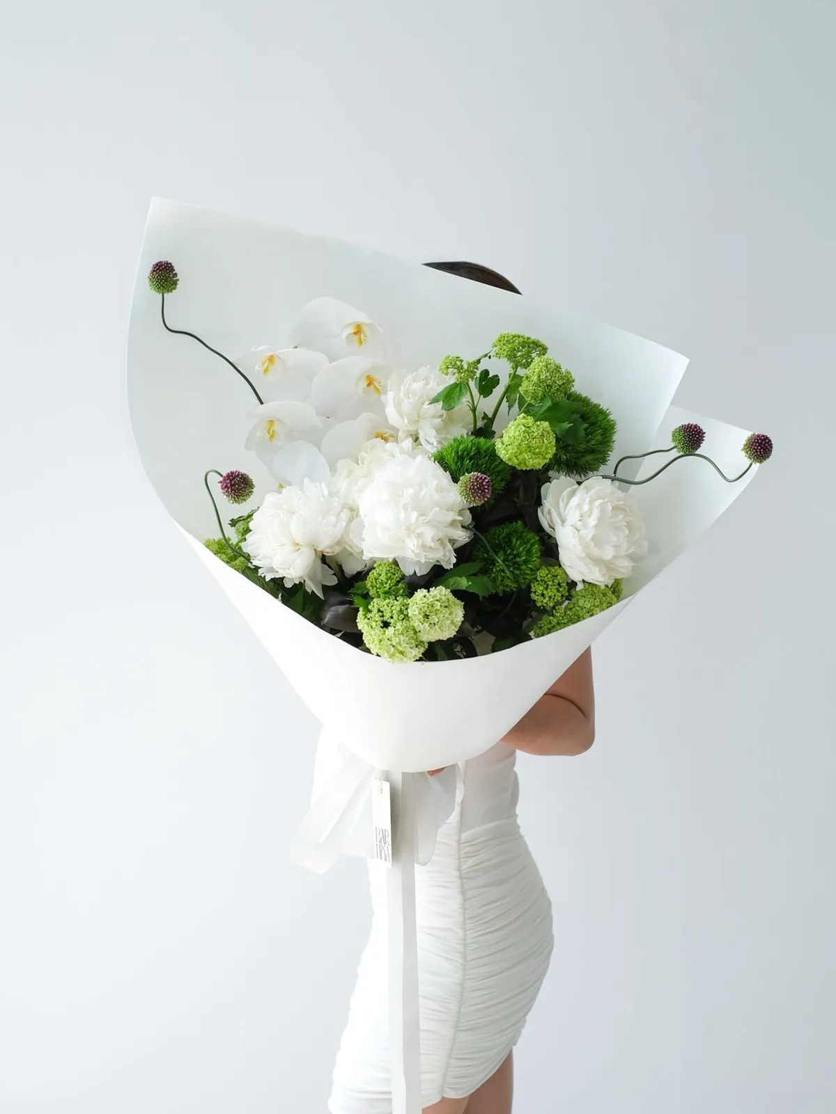 Bản Giao Hưởng Tươi Mới — Mẫu Đơn Hà Lan, Green Wicky, Tiểu Tú Cầu