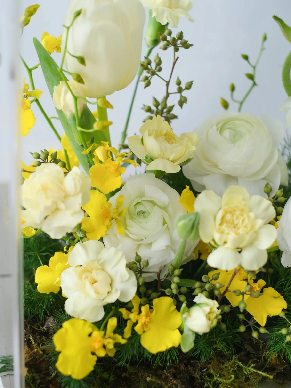 Tulip Cho Dịp Chúc Mừng & Khai Trương: Giải Đáp Chi Tiết — ảnh minh hoạ 2