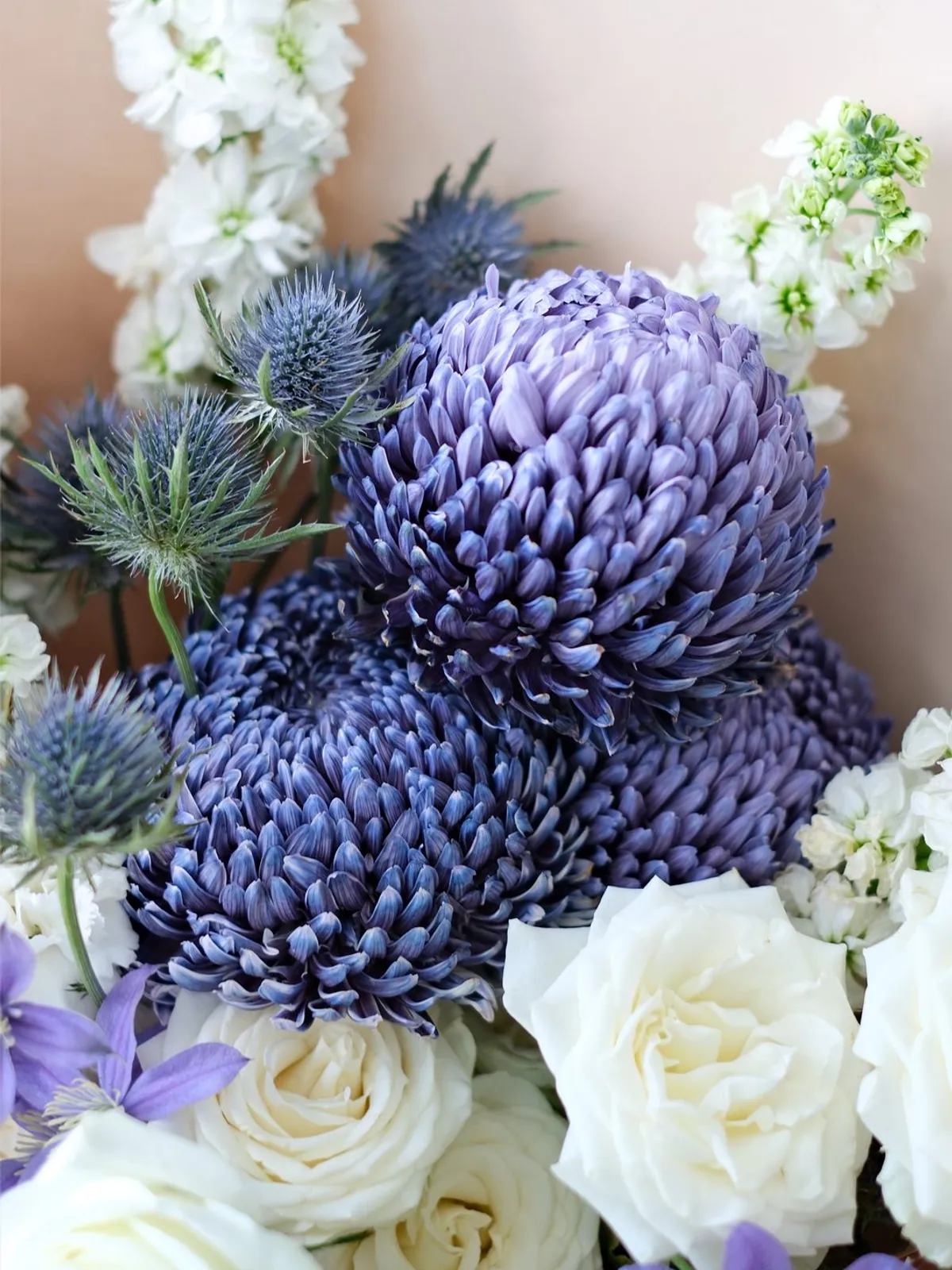 Clematis cho Sinh Nhật và Sự Kiện: Nơi Hoa Kể Chuyện Tinh Tế — ảnh minh hoạ 2