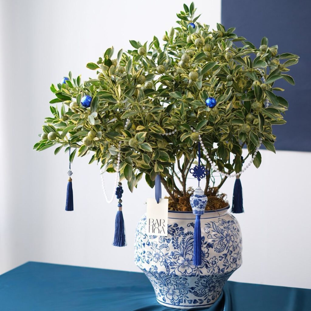 615980528 895002543048014 7023884880239576296 n (1)