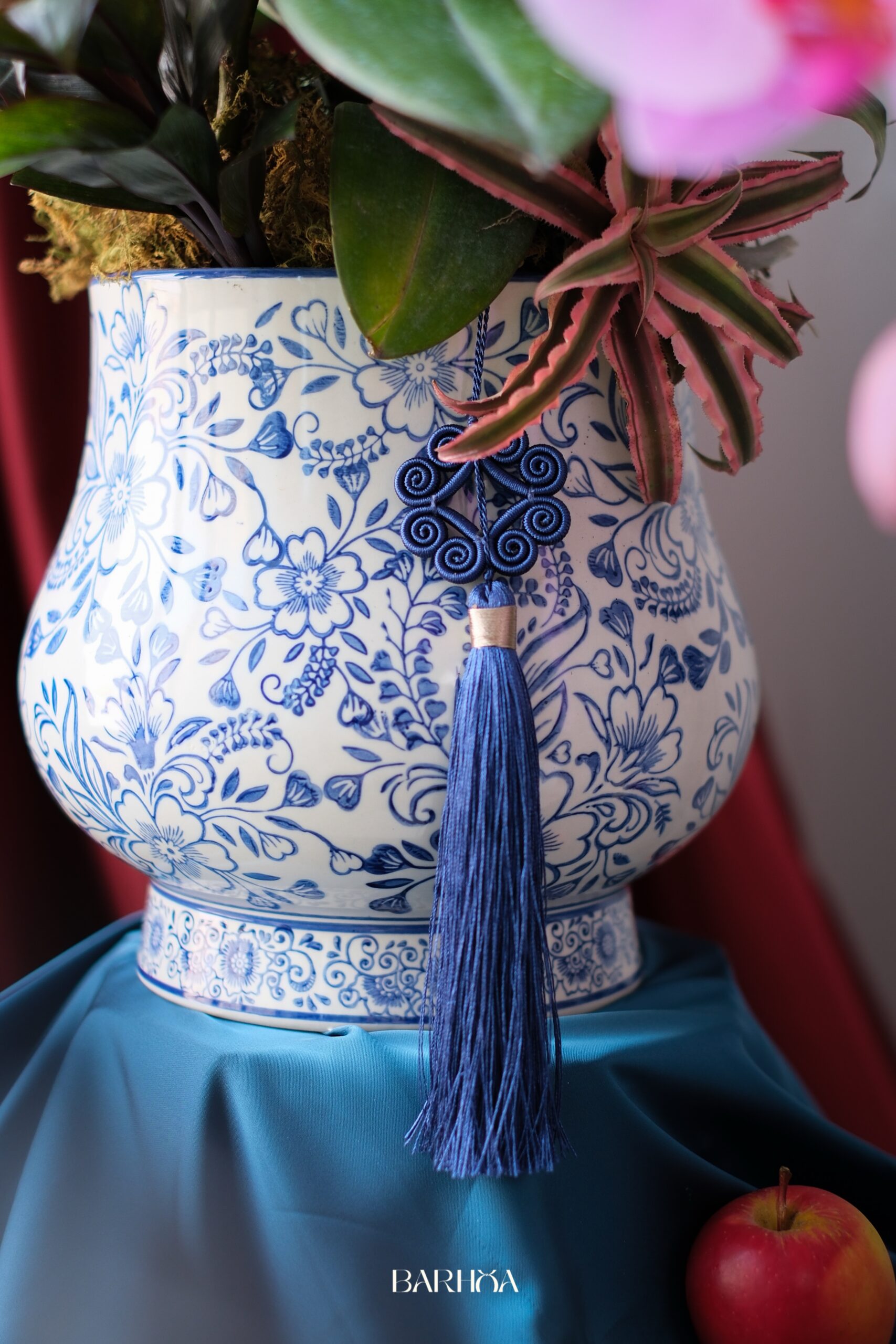 chậu lan hồ điệp hồng Đơn chậu lan hồ điệp hồng Đơn