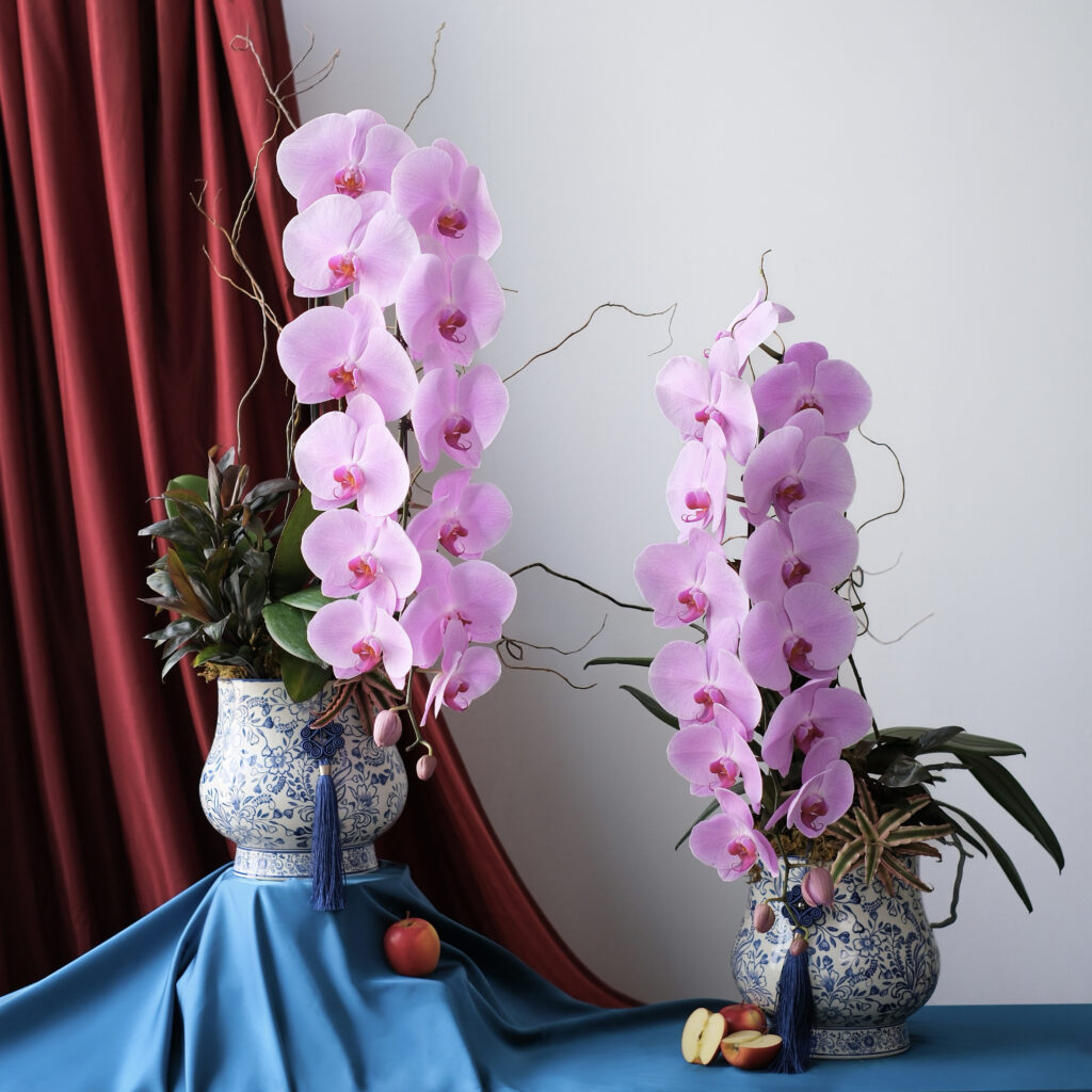 Chậu Lan hồ điệp hồng - Đơn chậu lan hồ điệp hồng Đơn