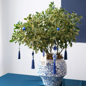 chậu kim quất cẩm thạch xanh