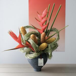 chậu hoa chuối pháo và gừng tổ ong